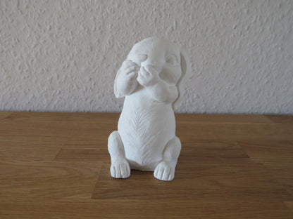 Hase