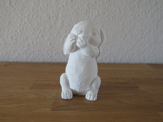 Hase