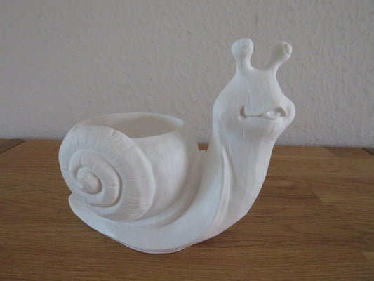 Schnecke